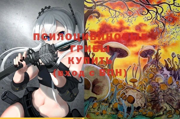 сатива Горнозаводск