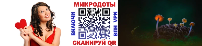 купить закладку  МЕГА зеркало  Псилоцибиновые грибы Cubensis  Жиздра 