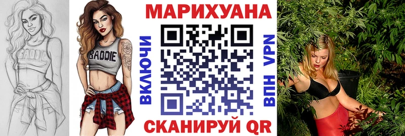 Бошки Шишки SATIVA & INDICA  дарнет шоп  Жиздра 